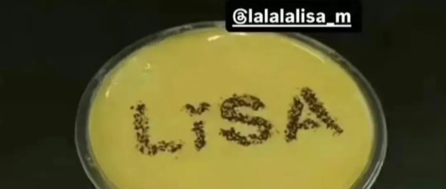 明星Lisa一张图，喜茶全球卖断货！这是什么品牌出海新密码？